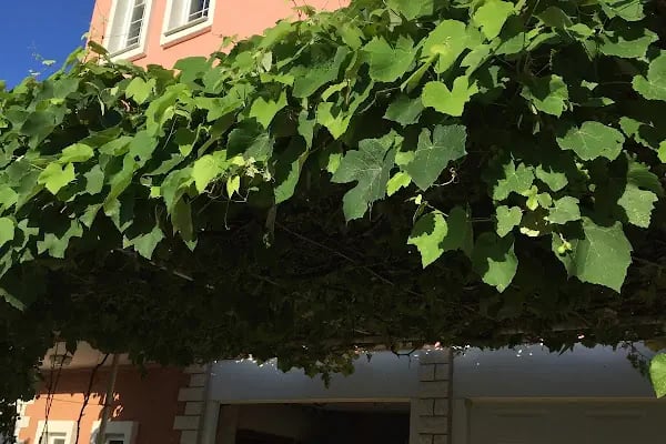 Rose Villa Trabzon - Resim 19