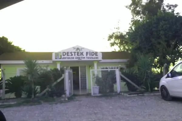 Destek Fide - Resim 2