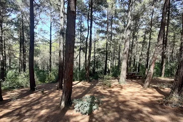 Şamlar Tabiat Parkı - Resim 6