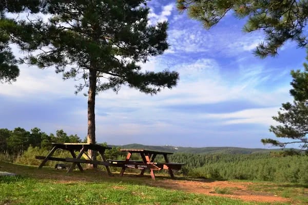Şamlar Tabiat Parkı - Resim 7
