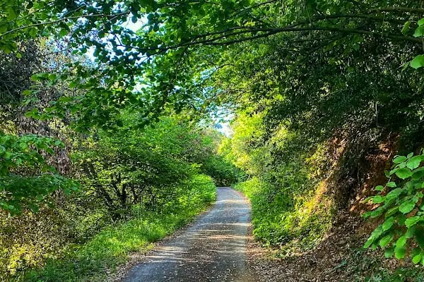 Şamlar Tabiat Parkı - Resim 19
