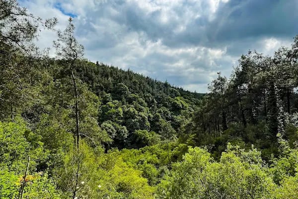 Şamlar Tabiat Parkı - Resim 8