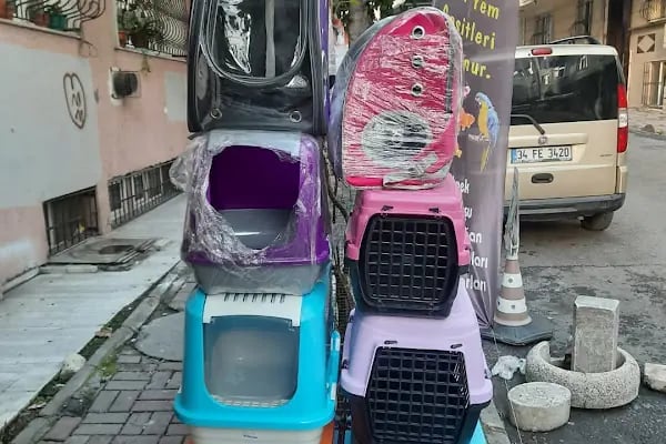 Şen Kardeşler Petshop - Resim 3