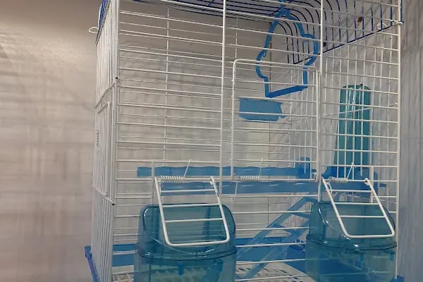 Şen Kardeşler Petshop - Resim 16
