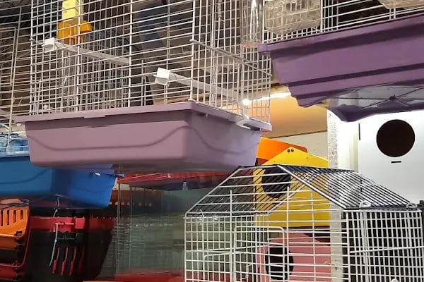 Şen Kardeşler Petshop - Resim 17