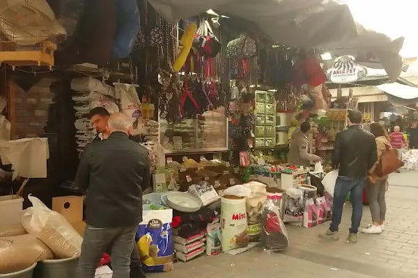 Akın Pet - Resim 11