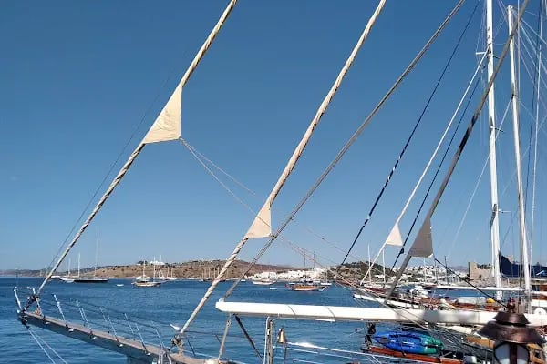 Aquarius Bay - Resim 14
