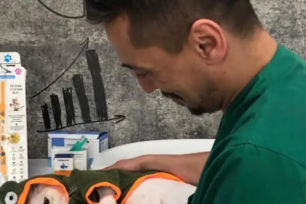 BTN Veteriner Kliniği - Resim 8
