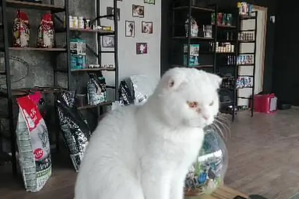 BTN Veteriner Kliniği - Resim 3
