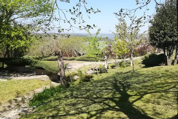 Green Roof Boutique Hotel & SPA - Resim 10