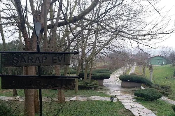 Green Roof Boutique Hotel & SPA - Resim 14