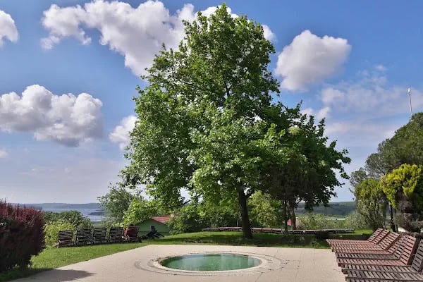 Green Roof Boutique Hotel & SPA - Resim 16