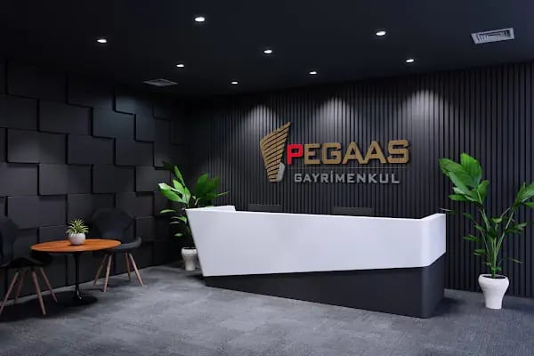 PEGAAS GAYRİMENKUL - Resim 2