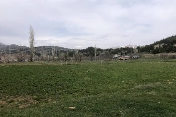 Mansurlu Cami - Resim 4