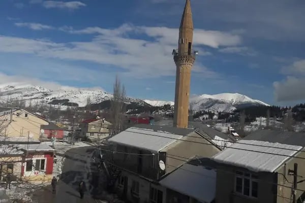 Mansurlu Cami - Resim 16
