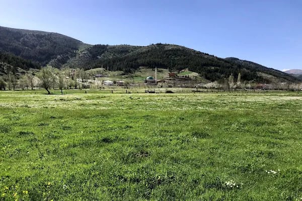 Mansurlu Cami - Resim 3