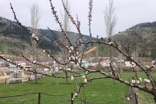 Mansurlu Cami - Resim 17