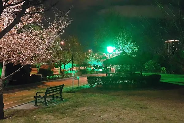 Kemal Sonunur Parkı - Resim 13