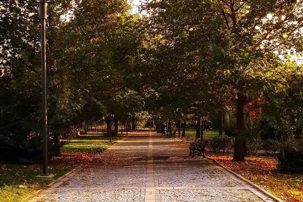 Kemal Sonunur Parkı - Resim 4