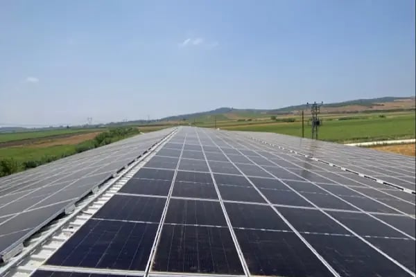 SARIMAZI GÜVENLER ZEYTİNYAĞI FABRİKASI - Resim 6