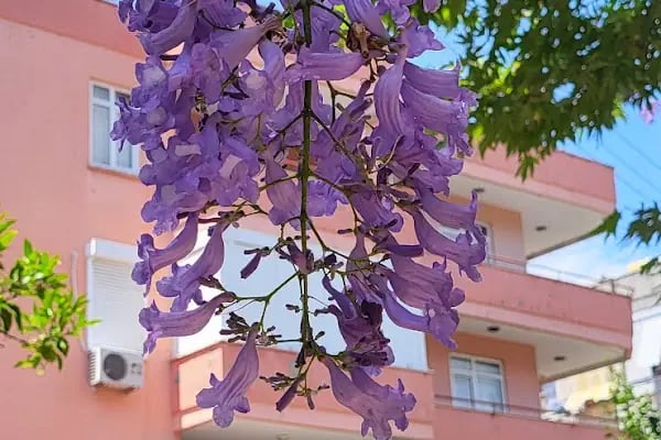 Alanya Belediyesi Özler Çocuk Parkı - Resim 11