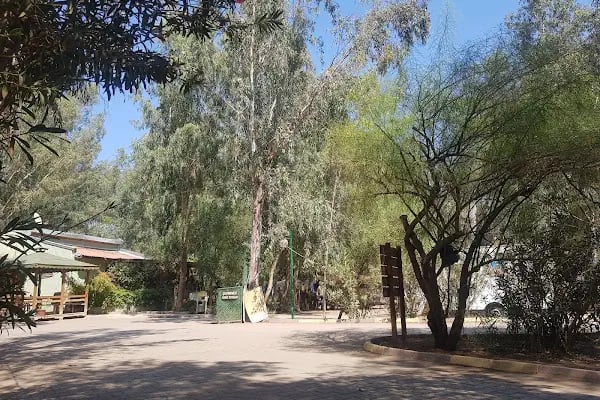 Gümüldür Tabiat Parkı - Resim 5