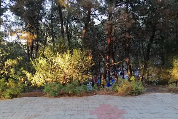 Gümüldür Tabiat Parkı - Resim 10