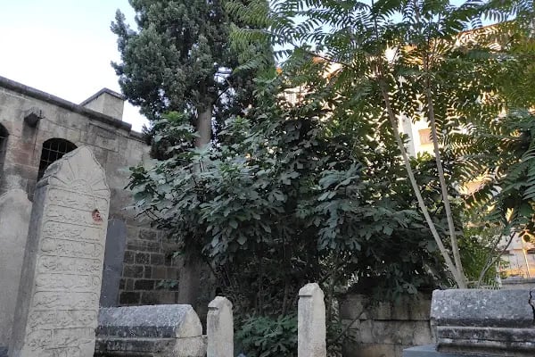 Ömeriye Camii - Resim 13