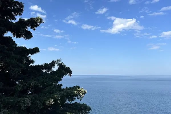 Dt. Ahmet Can Üzümcüoğlu, Diş Hekimi - Resim 7