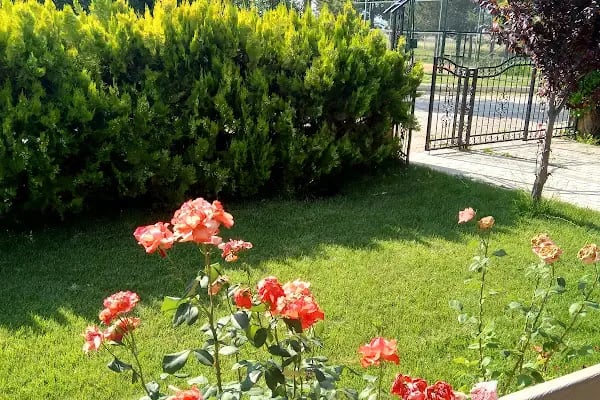 Yeşil Doğa Yapı Kooperatifi - Resim 2