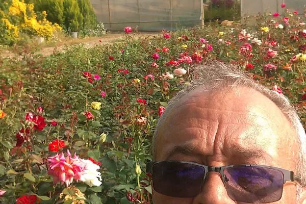 Şarlan Kır Düğünü Salonu - Resim 7
