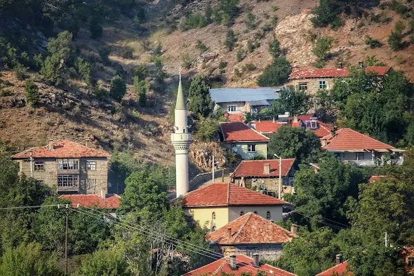Bademli Hıdıroğlu Camii - Resim 2