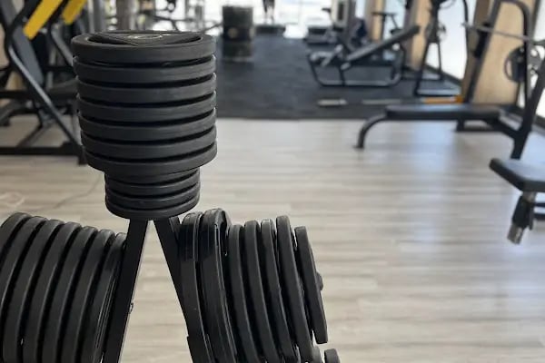 FalconFit - Resim 4
