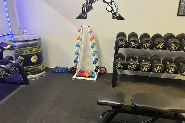 FalconFit - Resim 9
