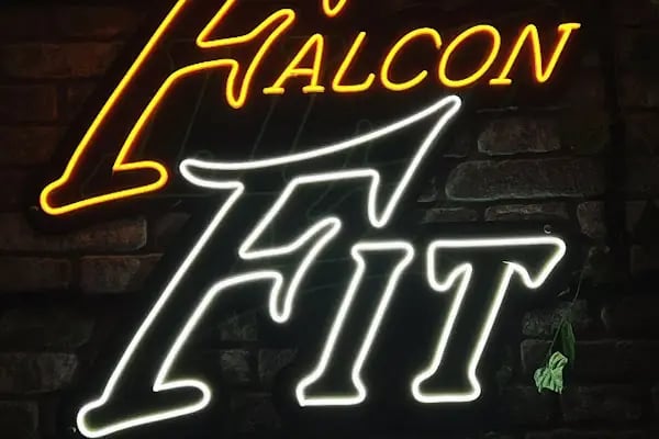 FalconFit - Resim 16