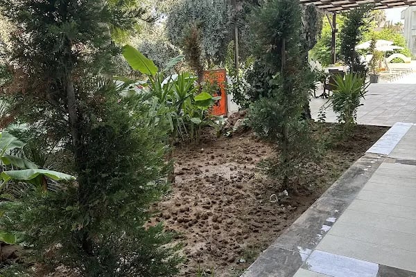 Lara Olympos Pansiyon - Resim 13