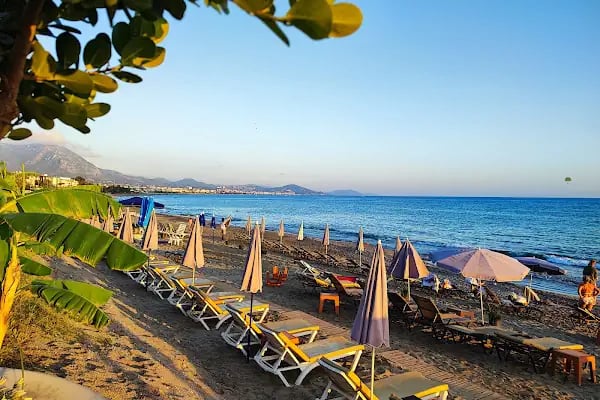 Costa Flamingo Lounge - Resim 16