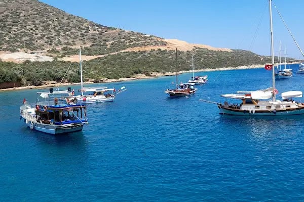 Port Bodrum Houses - Resim 7