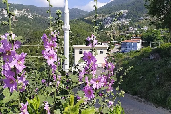 Kâmil Emine Benlidere Camii - Resim 8