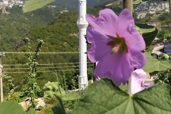 Kâmil Emine Benlidere Camii - Resim 6