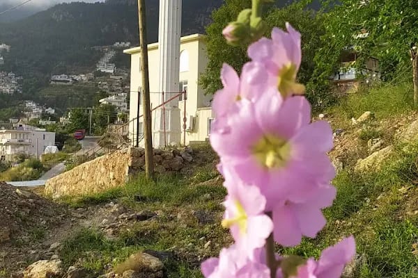 Kâmil Emine Benlidere Camii - Resim 12