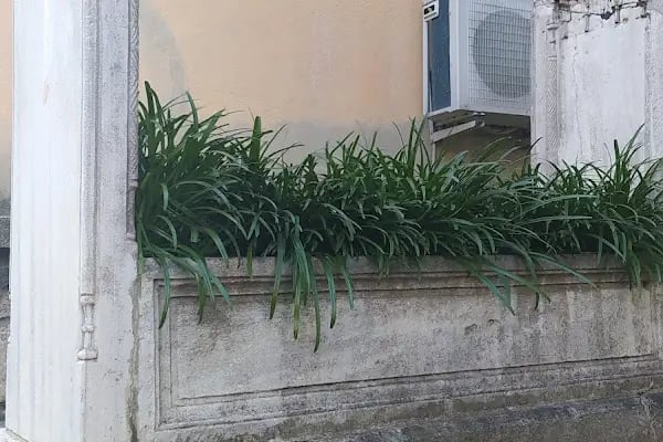 Köpüklü Dede Türbesi - Resim 17