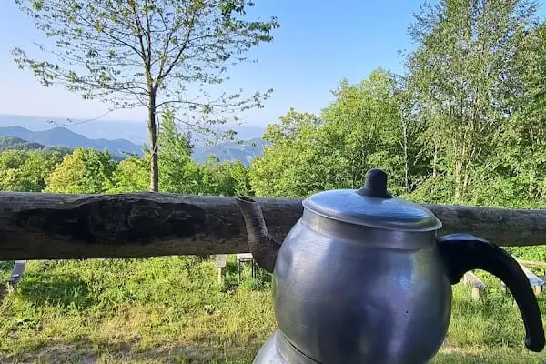 Yeşil Vadi Piknik Kocaeli yuvack Aytepe - Resim 17