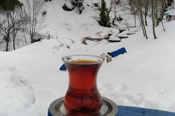 Yeşil Vadi Piknik Kocaeli yuvack Aytepe - Resim 15