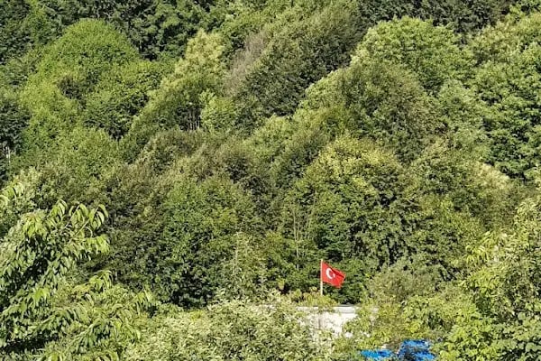 Yeşil Vadi Piknik Kocaeli yuvack Aytepe - Resim 16