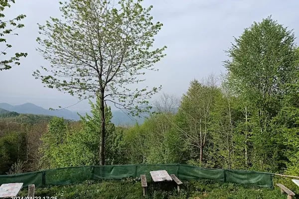 Yeşil Vadi Piknik Kocaeli yuvack Aytepe - Resim 10