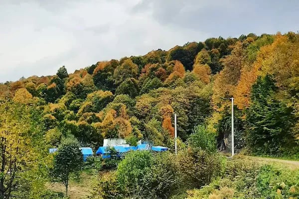 Yeşil Vadi Piknik Kocaeli yuvack Aytepe - Resim 18