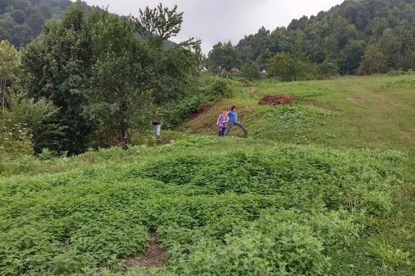 Yeşil Vadi Piknik Kocaeli yuvack Aytepe - Resim 14