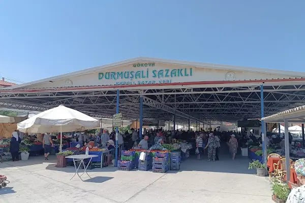 Gökova semt pazarı - Resim 8