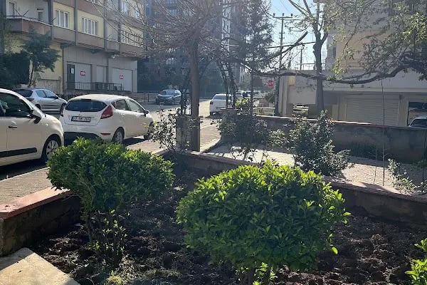 Avantaj Fotoğrafçılık - Resim 12
